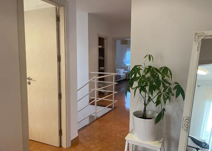 Marta - Жирона