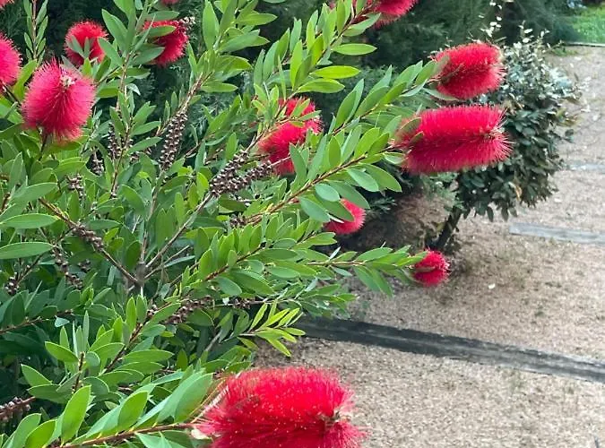 Marta - Vakantiehuis *